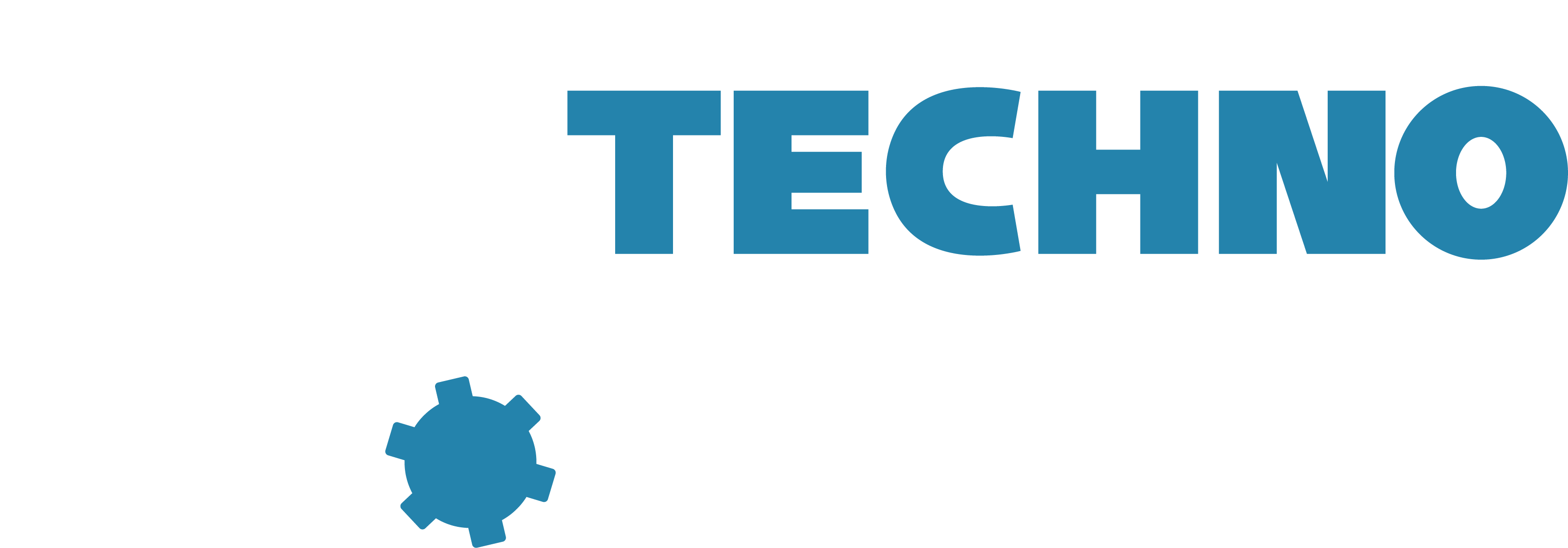 TECHNO_SERVICE logo